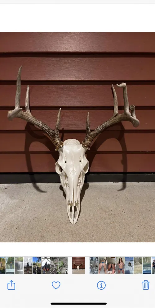 I really want to try this