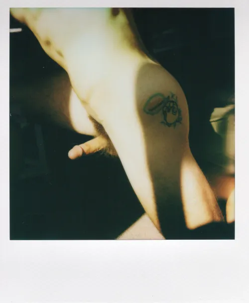 Lighting & polaroids