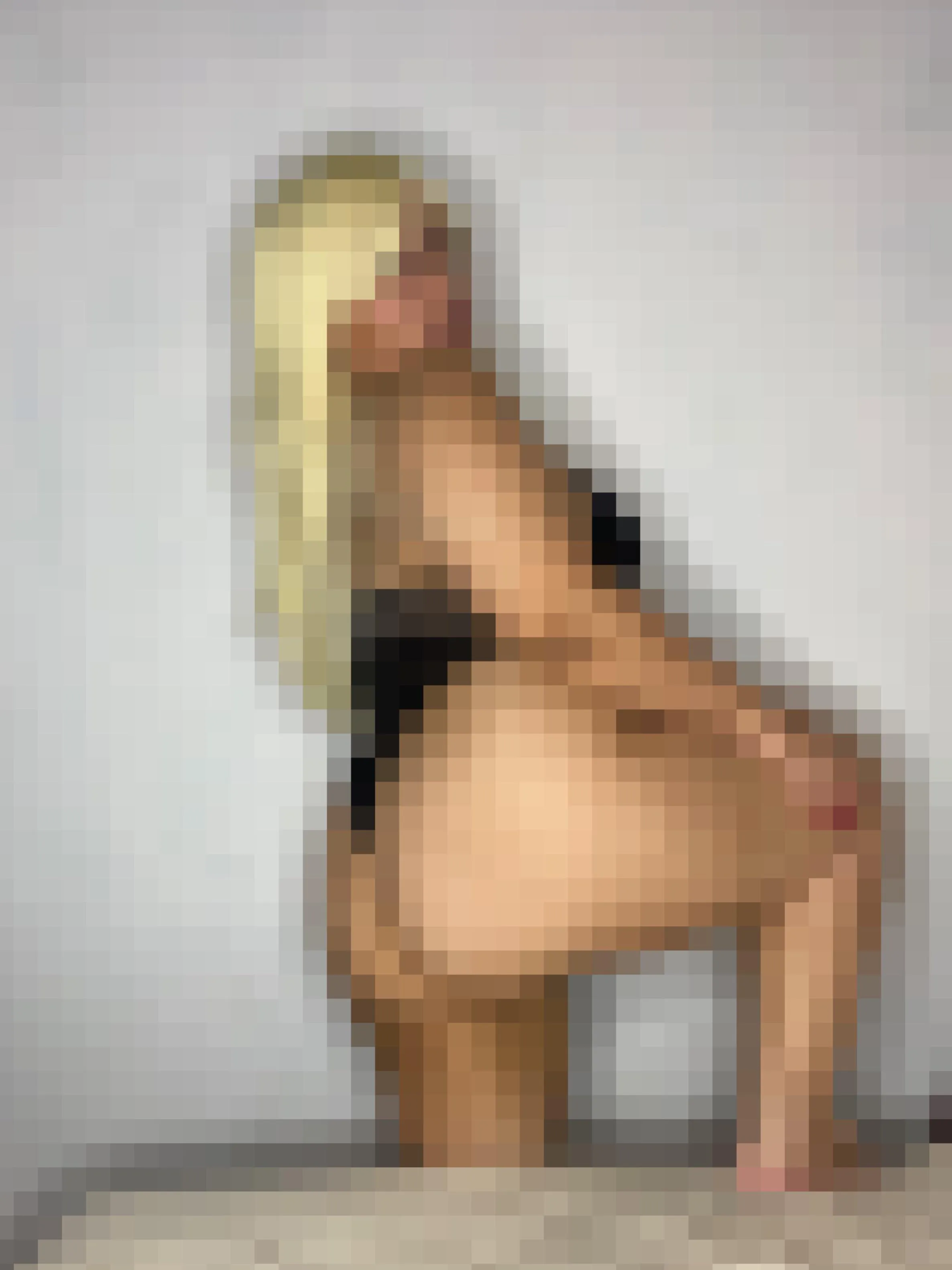 Oh poor loser this is all you deserve to see, pixels !