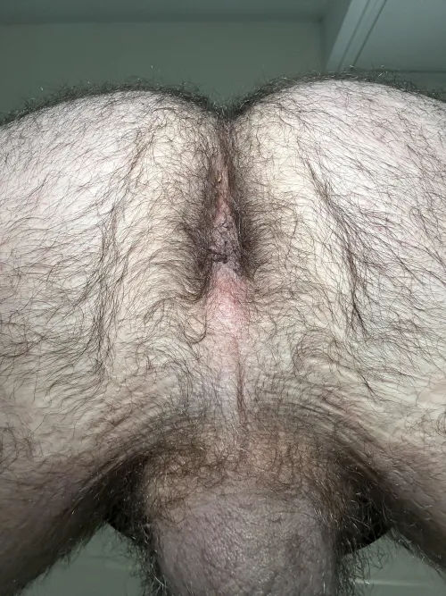 On this cold winter day, let me keep your face warm in my furry crack 🥶