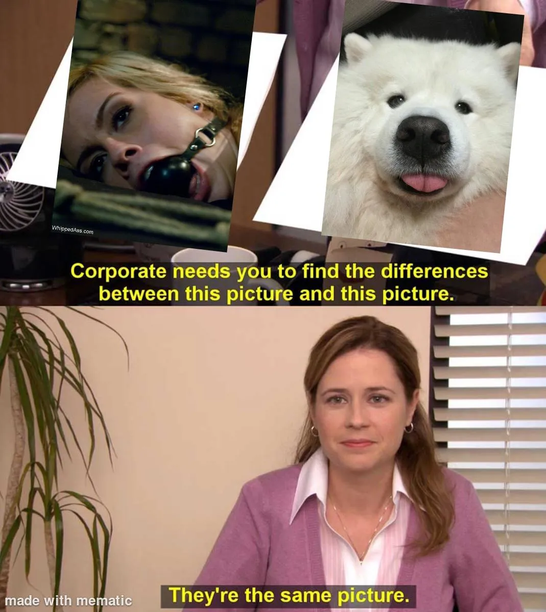 Pets are cute when they mleep thank you for coming to my TED Talk