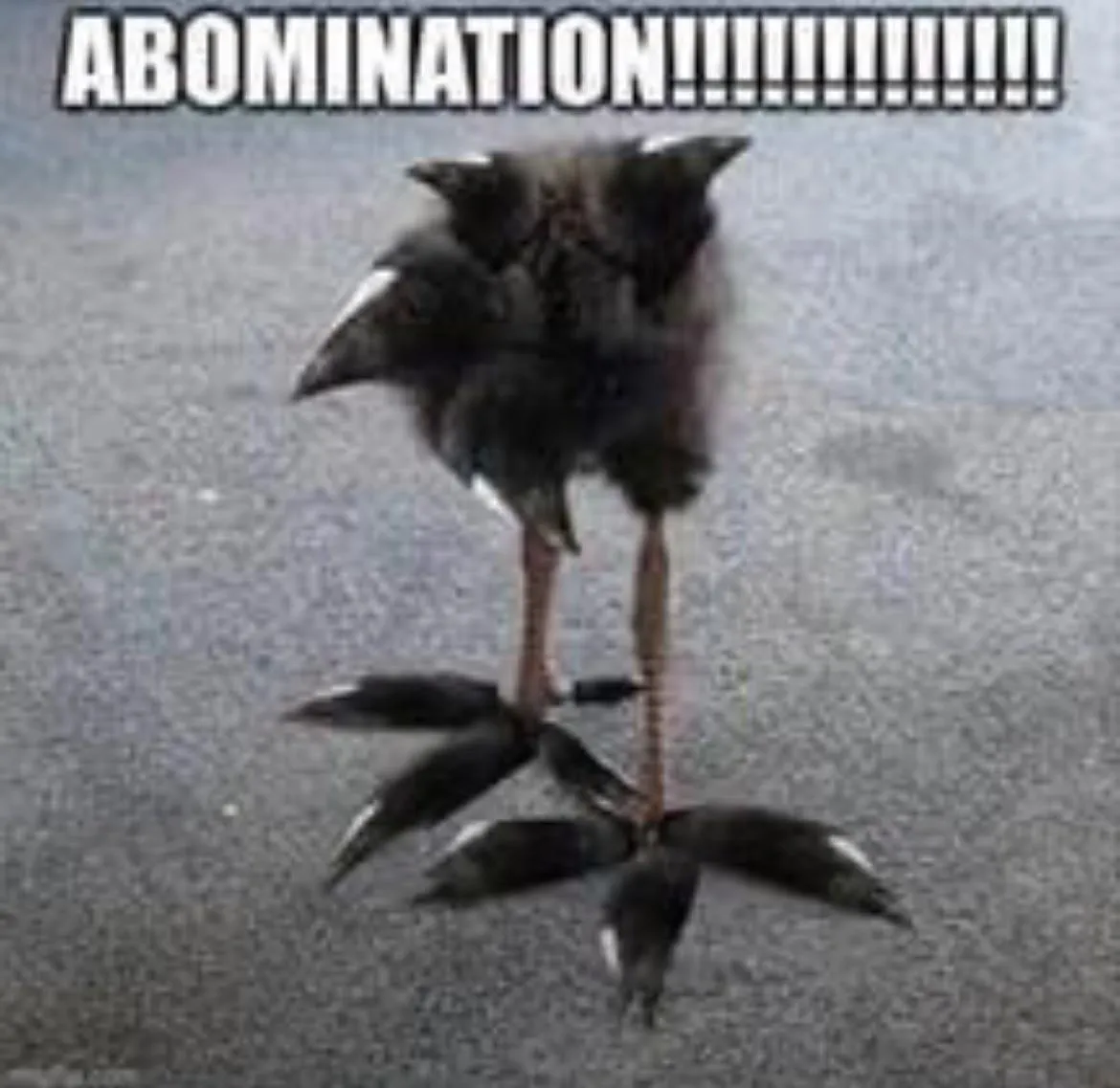 Please I’m starving someone write something