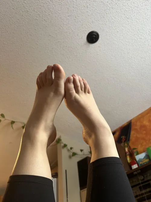 Relapse for my little paws.