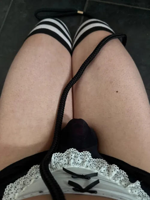 Anyone want to pull my leash :3