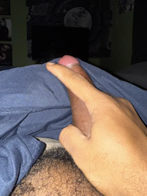 come taste this black/mexican uncut dick