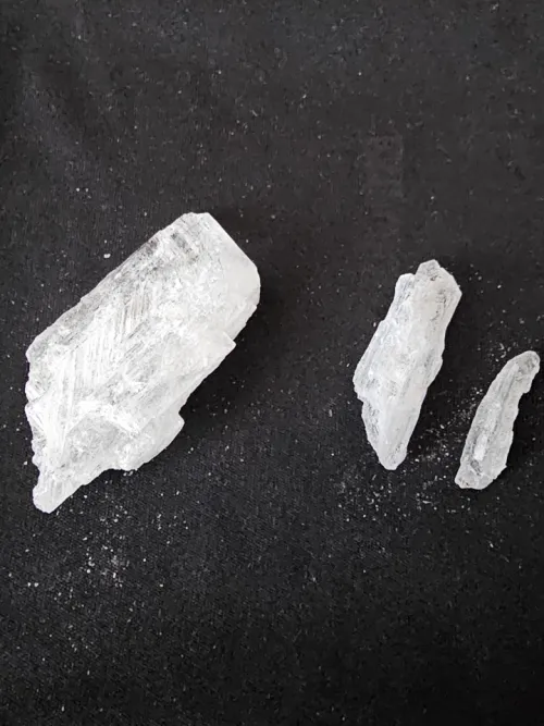 Need me a F to hang that could play nurse sometimes