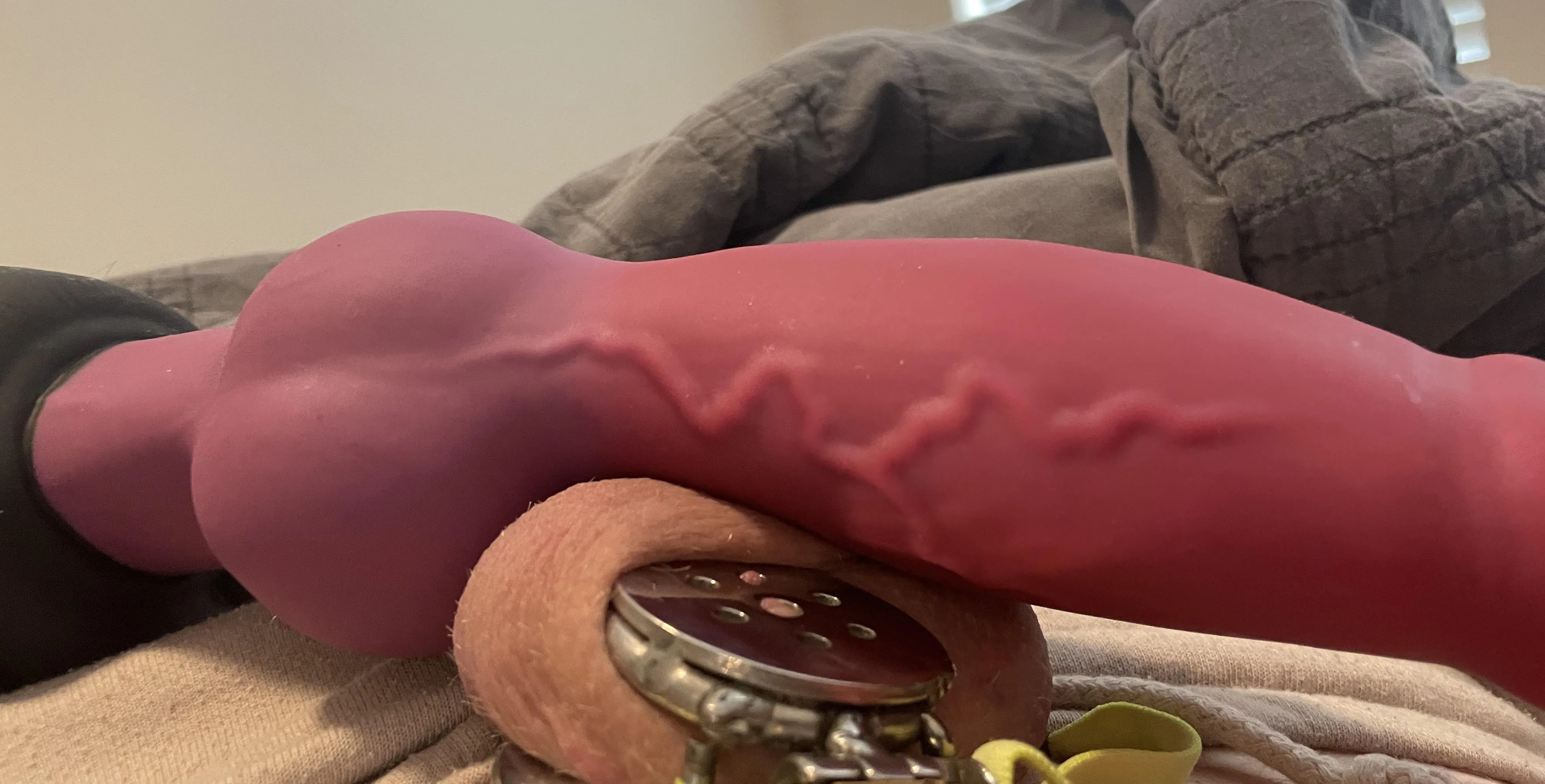 Rex makes me look small:3