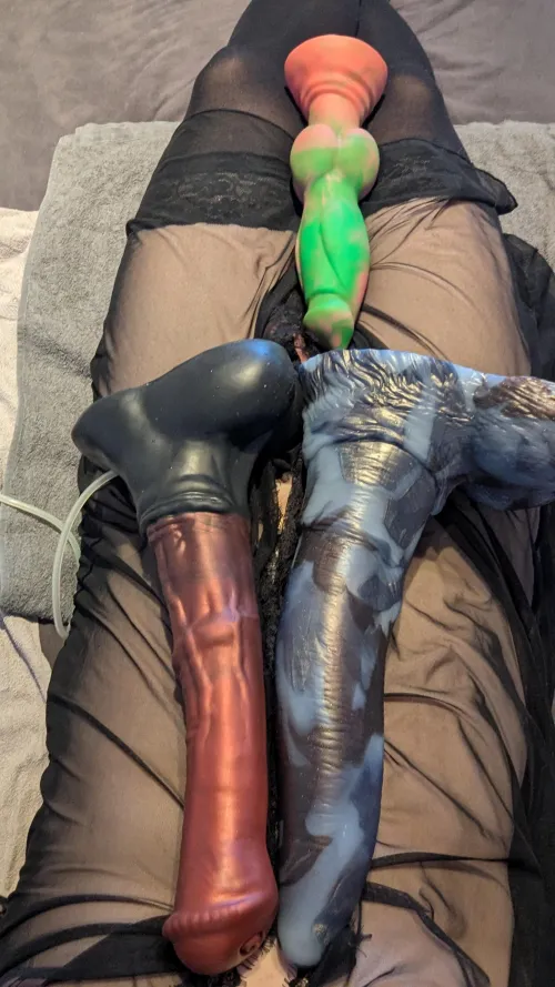 Taking out my huge boys for a ride