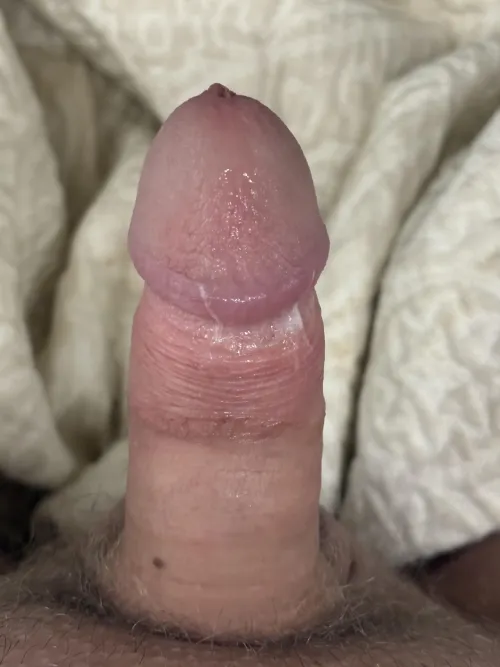 Any fans of this one?