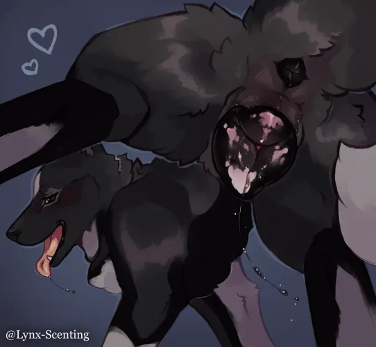 Close up! - Commission (lynx_scenting) [F]