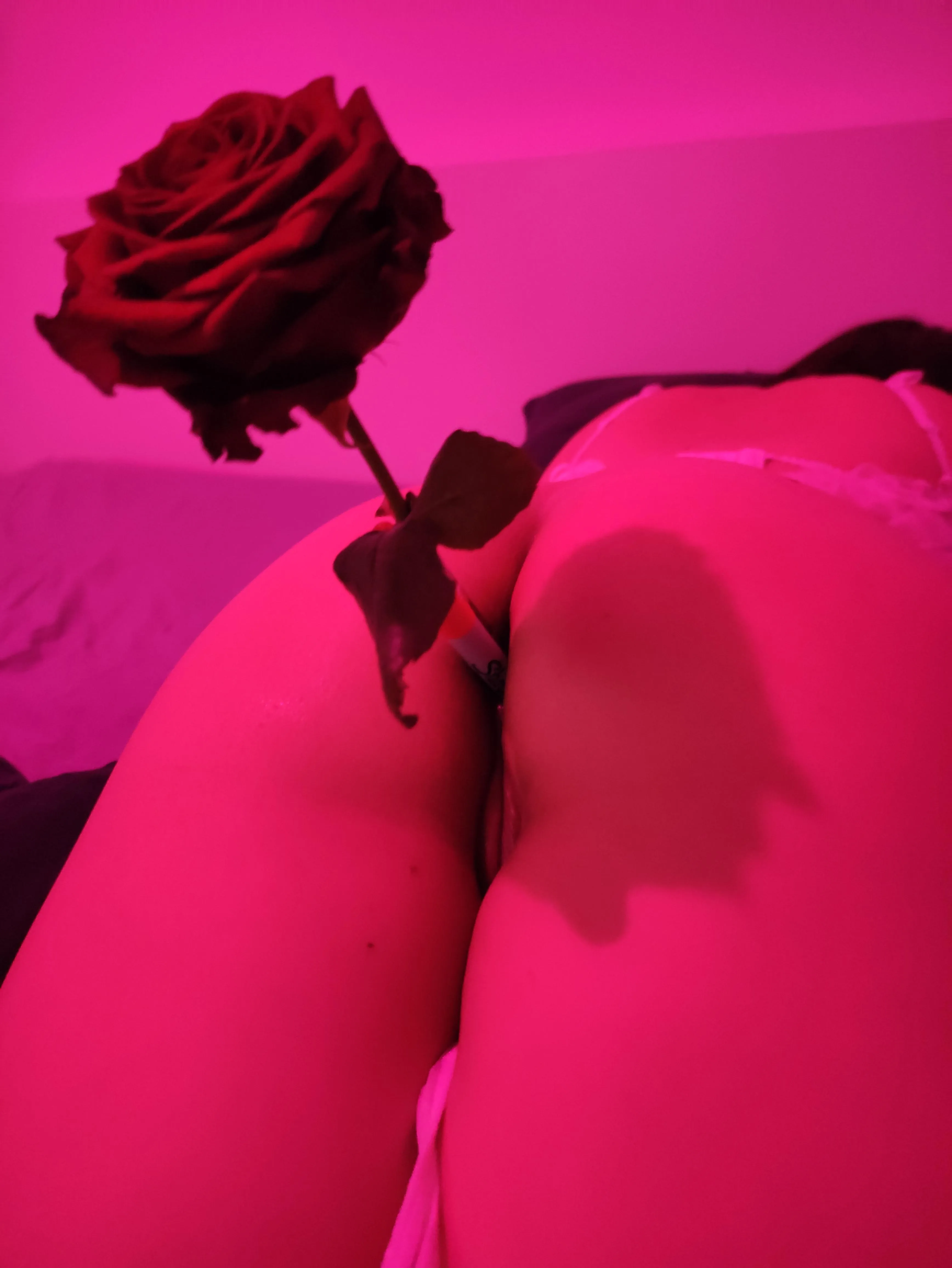 Happy Valentine's day!