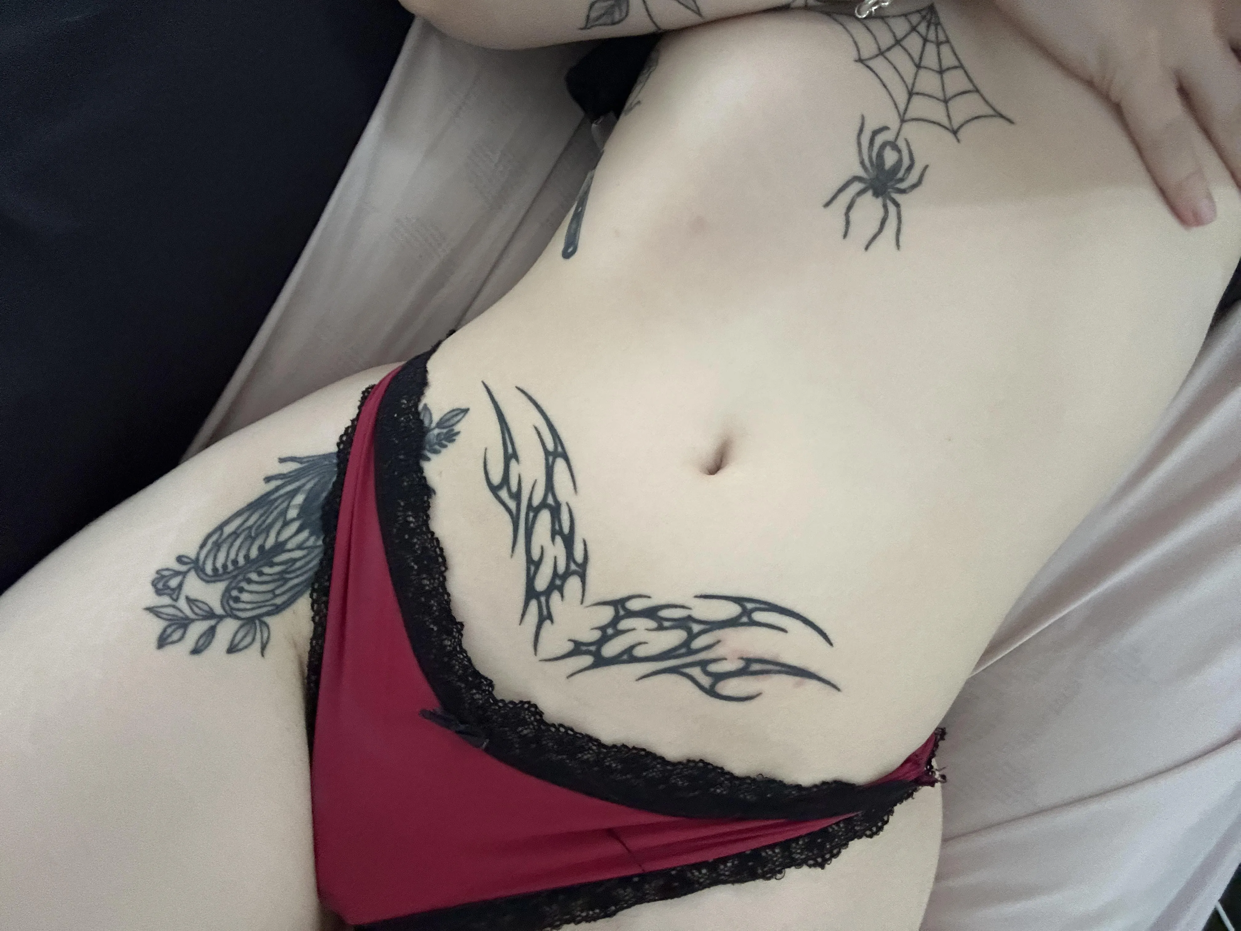 Kiss me from top to bottom