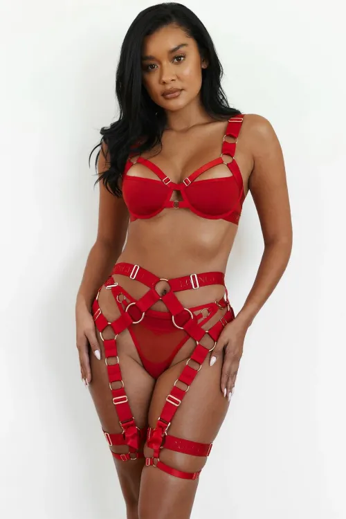 Looking for discontinued Lounge Storm Bra- Red-Medium