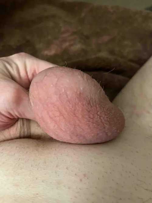 Would like to know more Men out there that want to castrate guys.  Nothing wrong with Women into it, but as a gay guy I'm more into men.