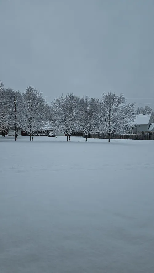 Fay on Friday morning