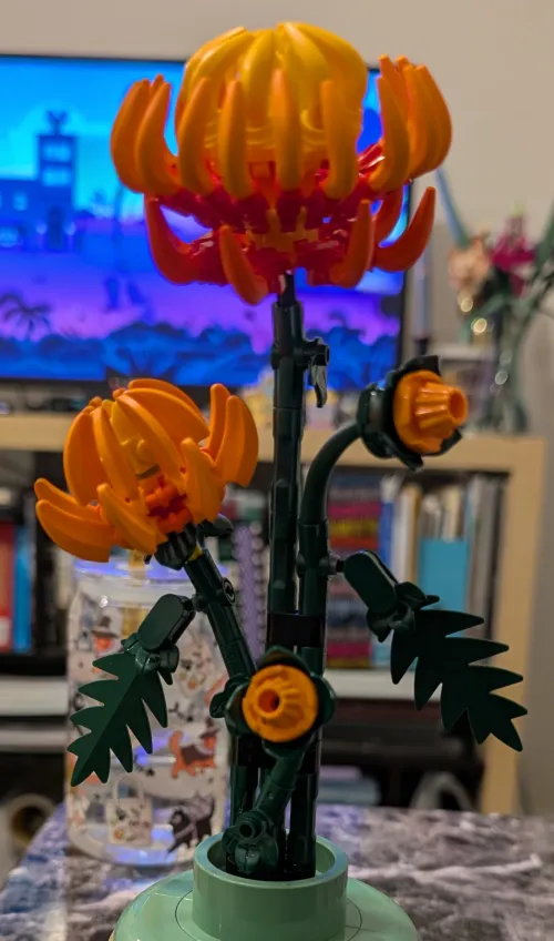 Flower time 🏵️🌼🌸