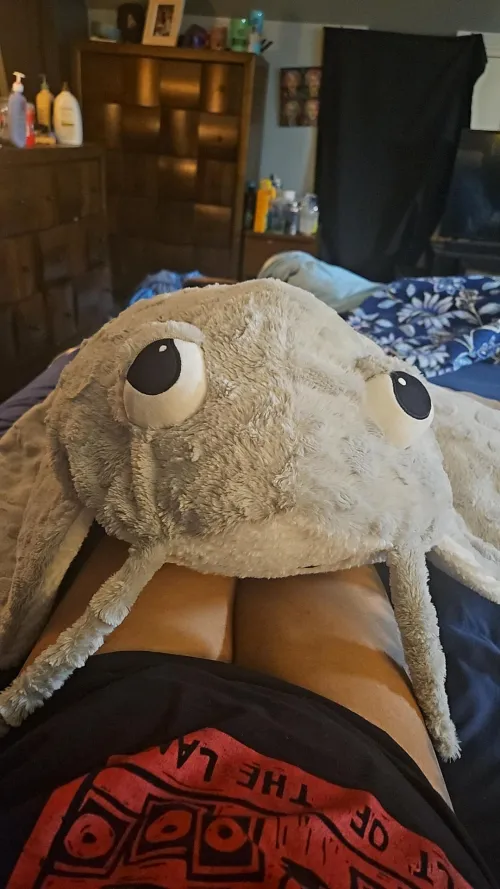 I wanted to share my new friend Mr. Ray