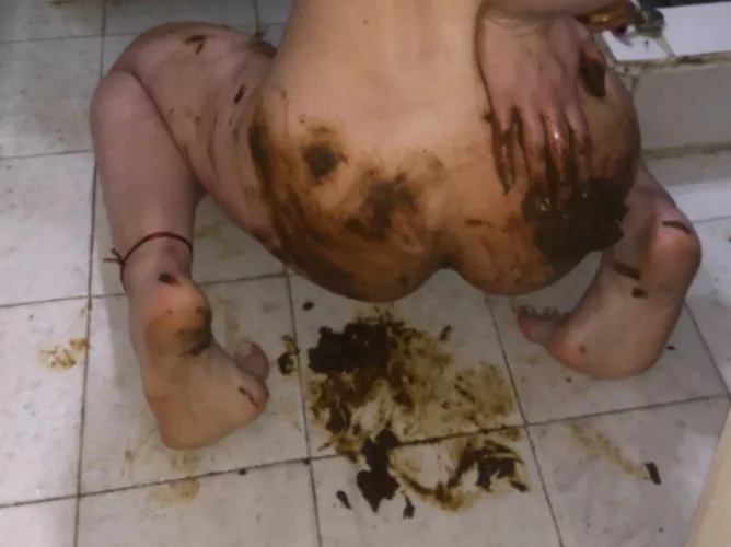 I'm looking for a new toilet