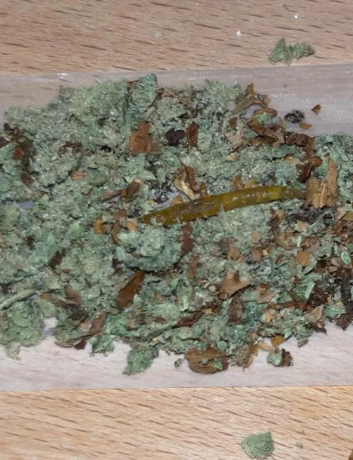 Lå en liten luring inn i trollmekket