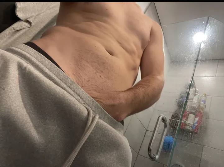 Naperville IL Attractive Stud