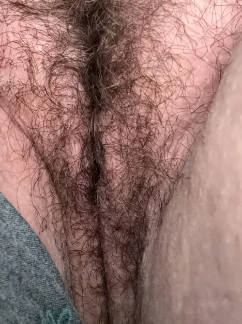 thick natural bush for you