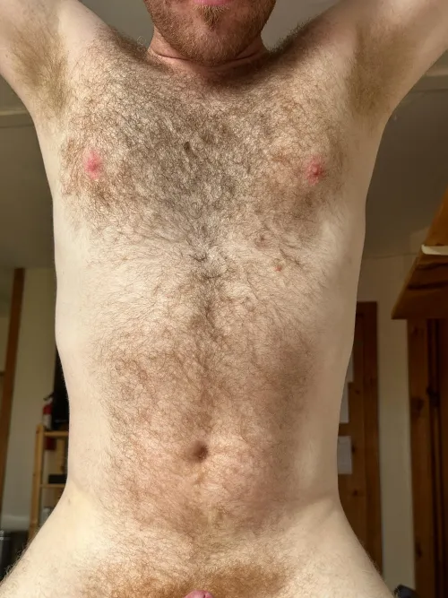 Who likes ginger fur 😏