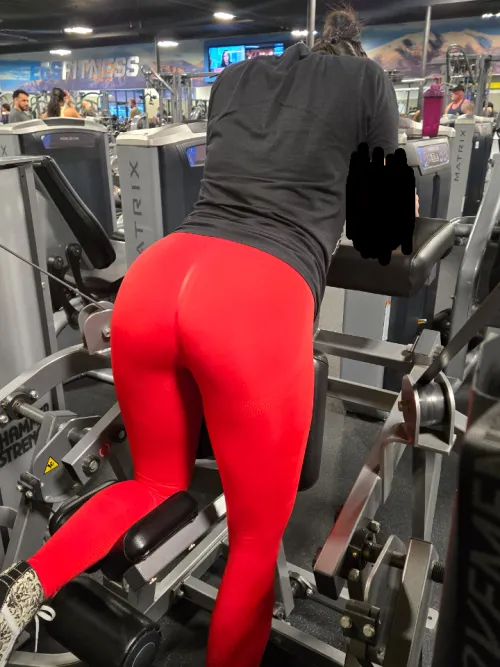 Would you stop and look?