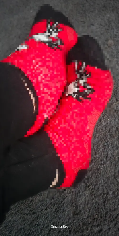 Dont you wish you could just get a sniff? Been standing/walking for 10hrs