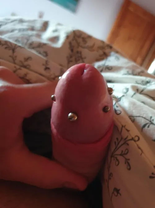 4 Days Post apadravya Piercing