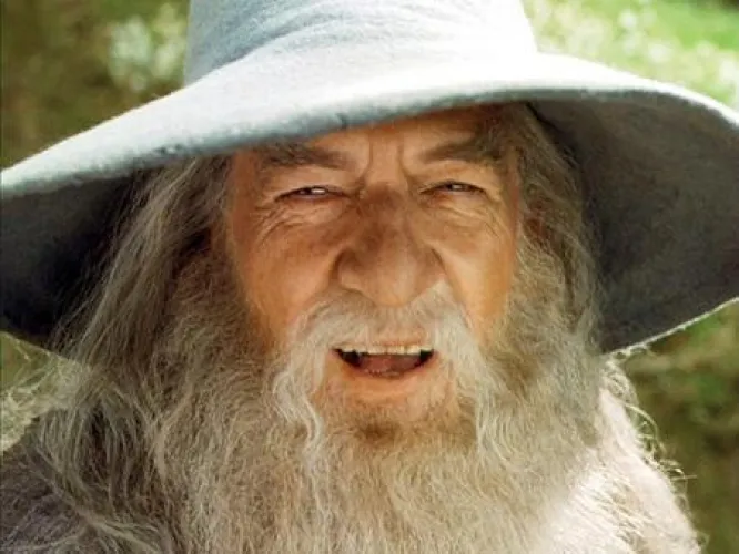 “A wizard never busts late, nor does he bust early. He busts exactly when he means to” - Gandalf the Gay