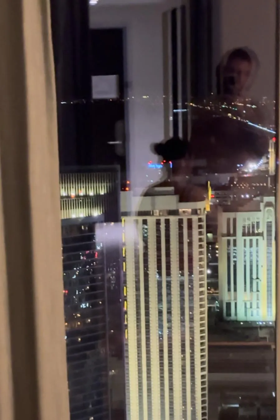 AC Night Views hit hard 👀