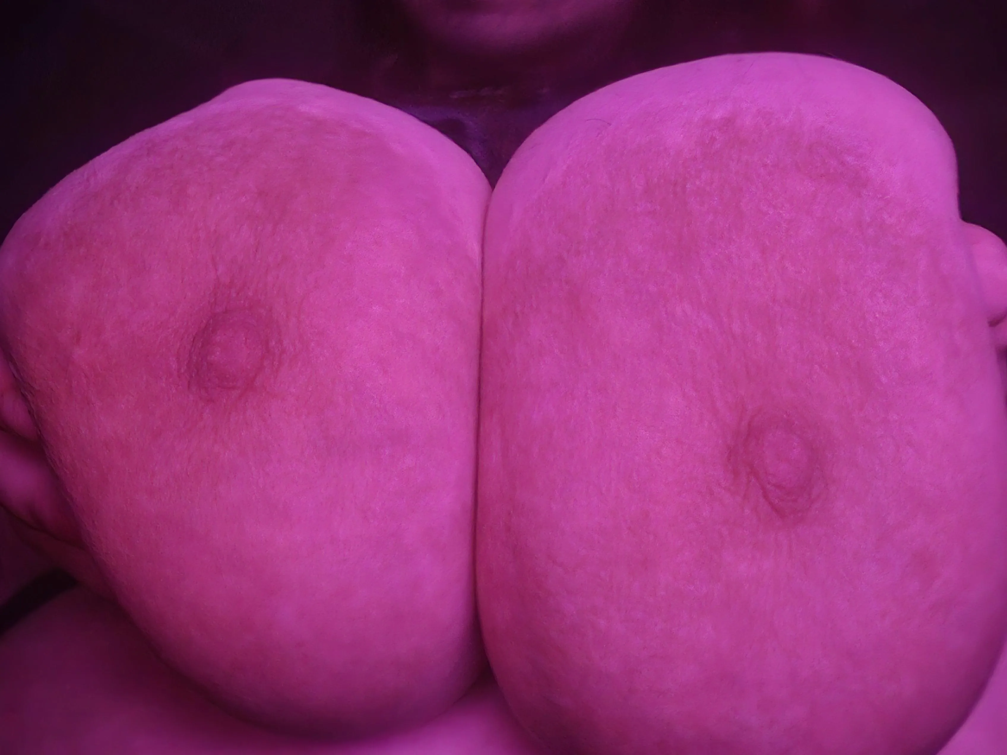 bambihas too think w hertits