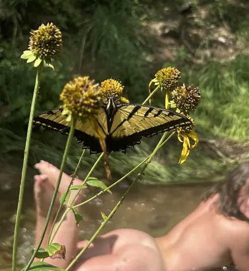 Can’t wait for summer!!