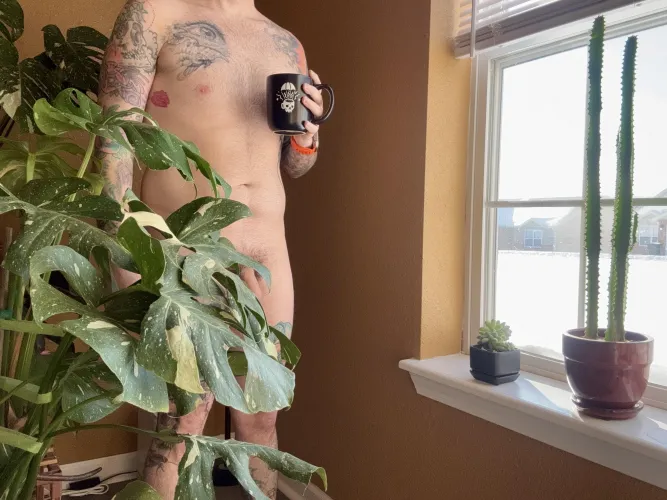 Cold morning in the Midwest