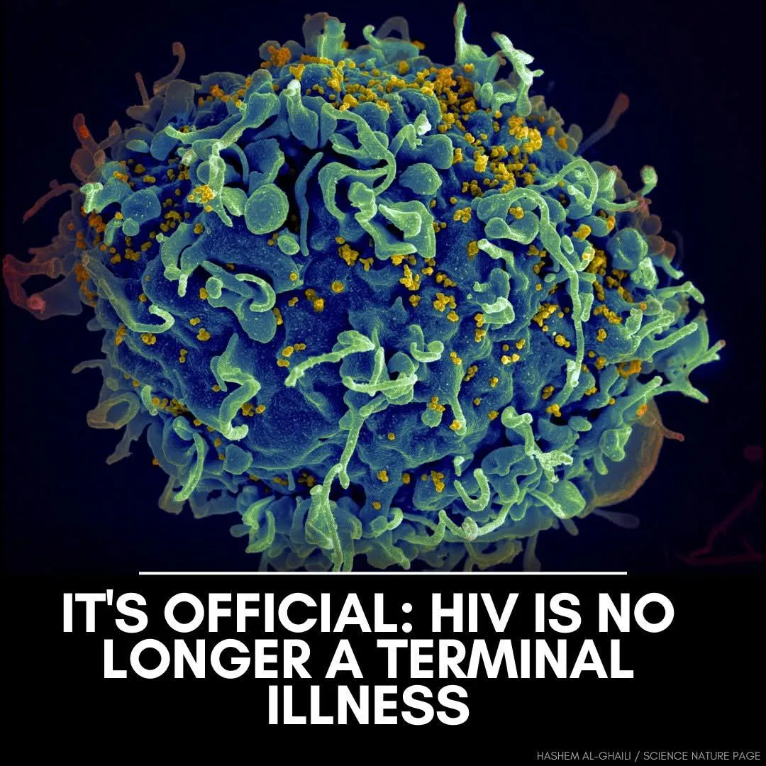 HIV NEWS
