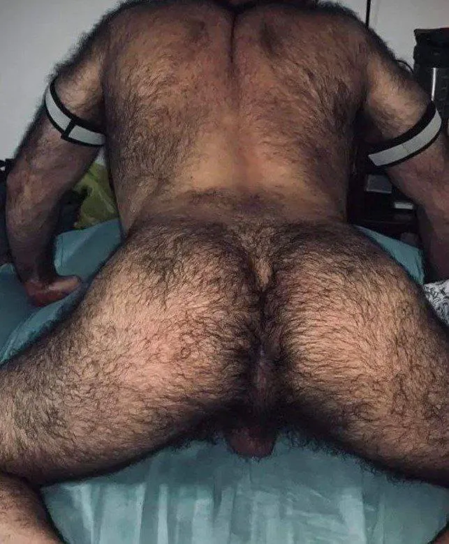 I respectfully ask for your opinion....