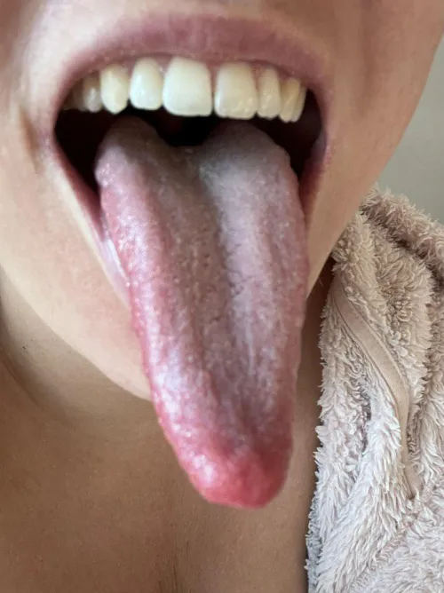 let me lick all your cock with my long wet tongue