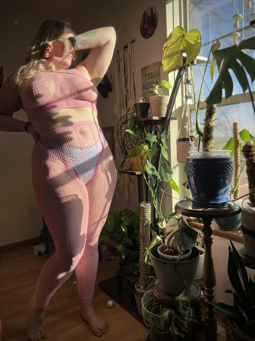 My plant room is screaming for help. I need to repot so many!!! 😭