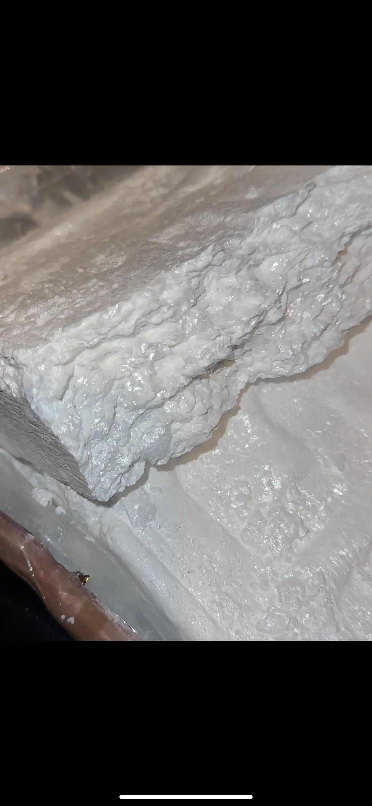 Need a nasty freak, any