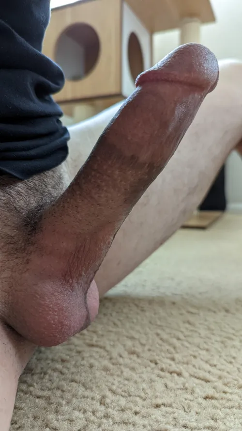 Ready to fill you up