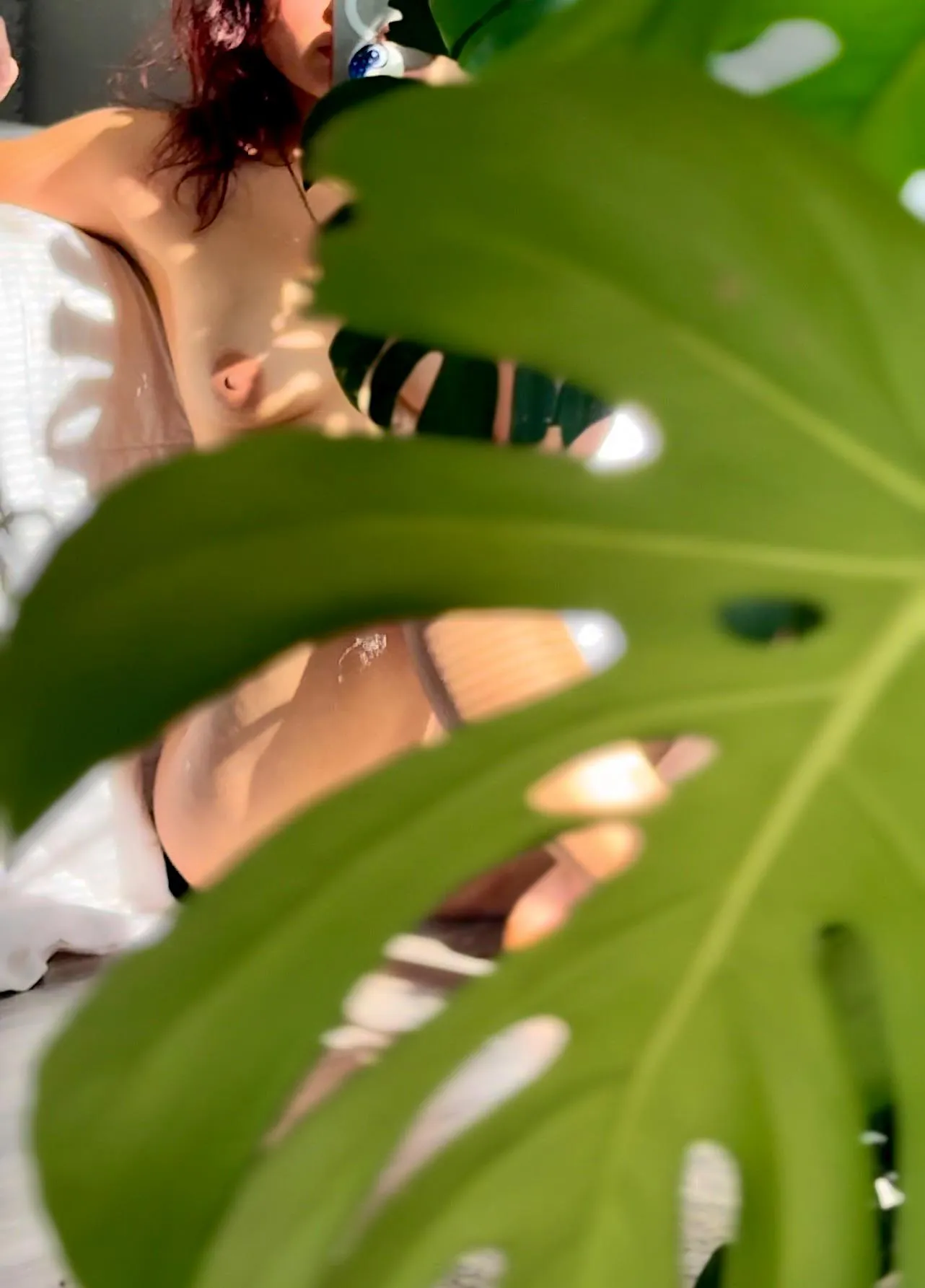 Sun-kissed and sneaking peeks through my Monstera deliciosa fenestrations… can you spot me? 😉🌿☀️