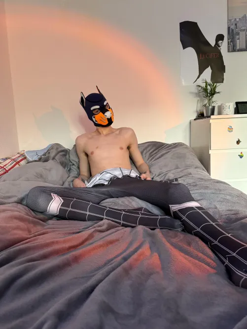 Tried to act cute as spidey pup 🕸 Did it work?