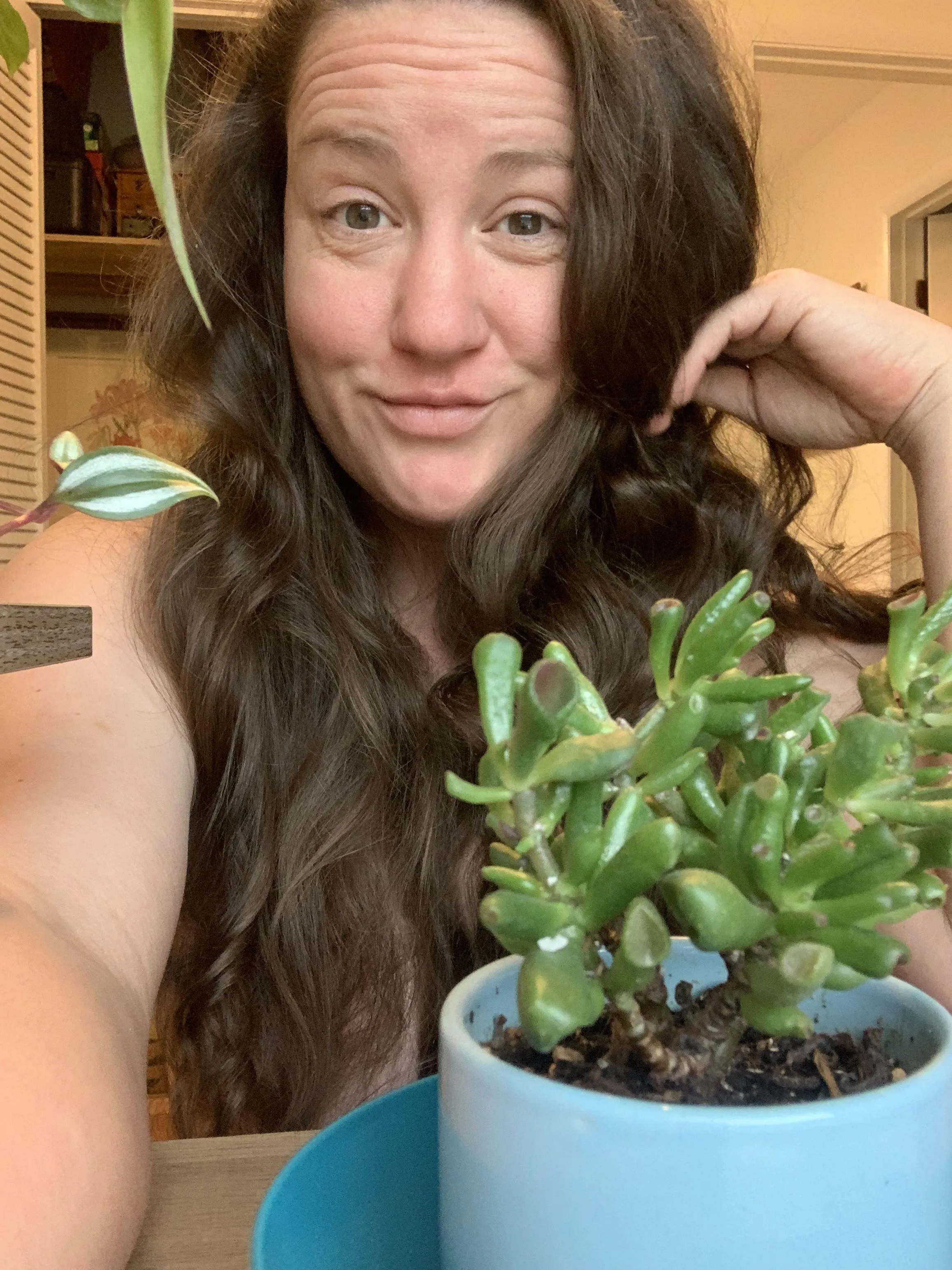 Trying to catch some sun between the snow flakes ❄️