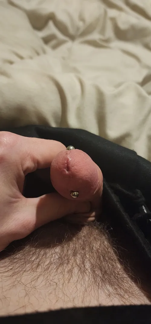 2.4mm apadravya 1month old