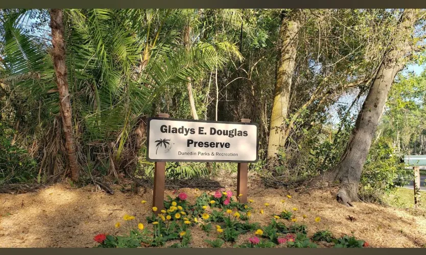 Anyone close to Dunedin FL I need a good throat to fuck