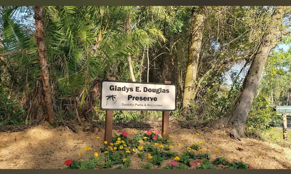 Anyone close to Dunedin FL I need a good throat to fuck