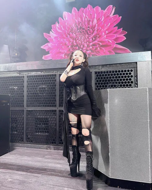 Every curve is poetry