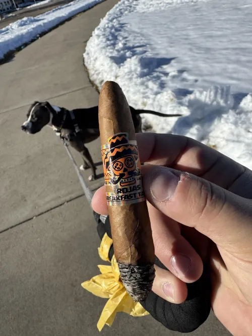 Finally a nice day to take out my dog and try a new cigar.