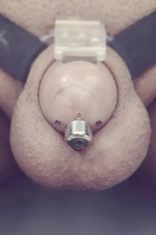 I bought a new cage)) Unfortunately, the old one fell during the battle with my morning erection and cracked. I'm starting to think about metal cages.