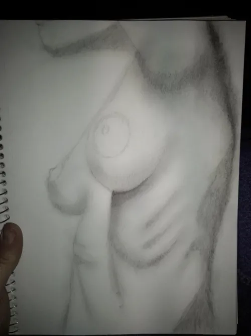 Just a semi quick sketch.